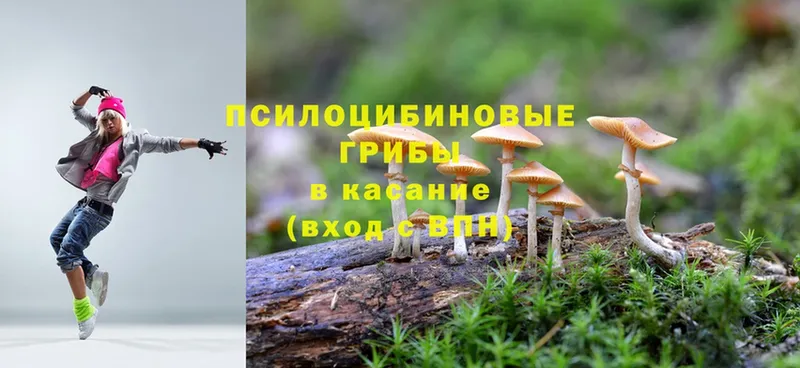 наркошоп  Донской  Галлюциногенные грибы Magic Shrooms 